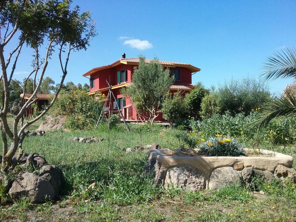 Bed and Breakfast Terra e Paglia Marrùbiu Esterno foto